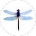 Avatar de uvhfv.h