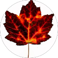 User profile - Sharee Brell.