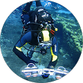 SEA WOLF diving - Numana, AN