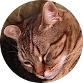Avatar de Sylvie.E