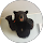 Matt Ward profile picture