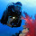 Rainer Mohr (divelogs.de)'s profile photo