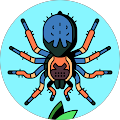 Avatar du profil de Rémy MAYOUSSIER