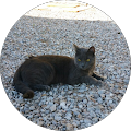 Avatar de Dorothée.l