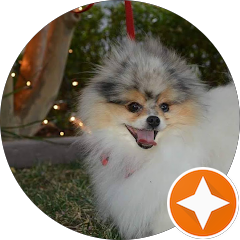 littlegizmo2 Avatar
