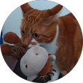 Loudachris Digital Marketing - Google Ads & Local SEO Agency in Melbourne - Melbourne, Victoria