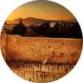 ניר אליאב