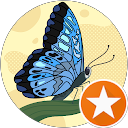Donald Blosser Avatar