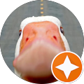 Avatar de romalama.