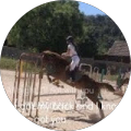 Avatar de anna.