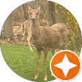Bambi Bites
