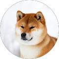 Community member