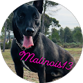 Avis de malinois.o avec une note de 5 sur 5