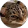 Community member