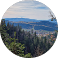 ARMSTARK Whirlpools, Swim Spas, Saunen & Infrarotkabinen - Wiesentheid