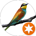 User profile - Edward Hall.
