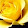 Sara Lynn, SDT Comm's profile photo