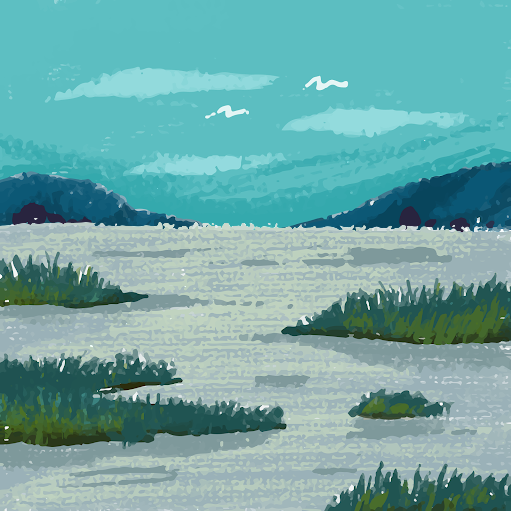 Carole Vanden Berghe