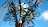 Review's profile picture