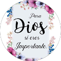 johan manuel sandoval paredes