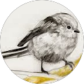 Avatar de Béatrice.E