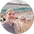 friends goat farming Saharanpur up