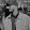 LUCAS MORAES MACEDO's profile photo