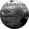 Avis de Amnesik. avec une note de 4 sur 5