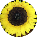 Atlantic Printing and Design - Manahawkin, New Jersey