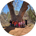 Laser Etched - Cottonwood, Arizona