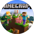 Avis de Mincraft.a avec une note de 5 sur 5