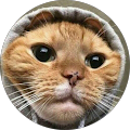 Avatar de umungus.u