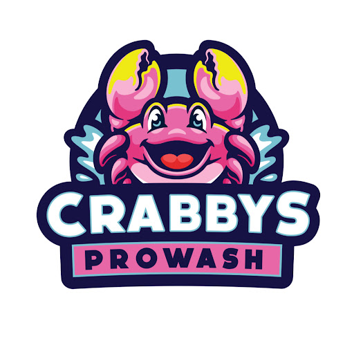 Crabby's ProWash and Christmas Lights