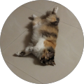 AdsHelper - Bukit Mertajam, Pulau Pinang
