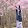 dabi...@gmail.com's profile photo
