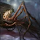 spider lord202's profile photo