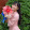 Que Anh Truong's profile photo
