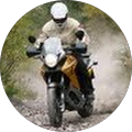 Avatar du profil de Nicolo' Curcuruto