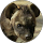 D J profile picture