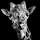 benjamin liang's profile photo