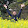 Bruno Rodrigues da Silva's profile photo