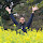 Bruno Rodrigues da Silva's profile photo