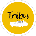 Avis de TRIBU.A avec une note de 5 sur 5