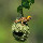 asdal...@gmail.com's profile photo