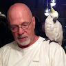 Peter Lewis