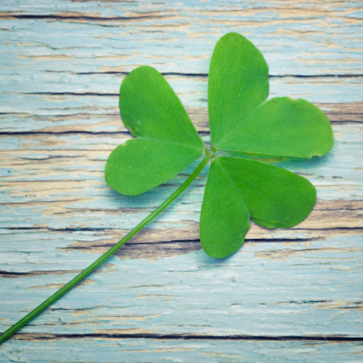 Image pertaining to THREE LEAF LAB