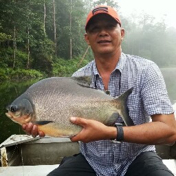 Mus Aziz