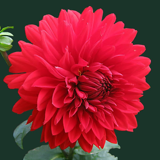 Aishwarya Chakravarthy