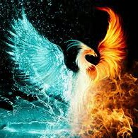 Noob Phoenix Pro