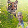 Sachin Dattu Bandagar profile pic